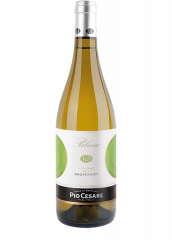 Vino Sauvignon Blanc DOC 2023 Pio Cesare 0,75 l