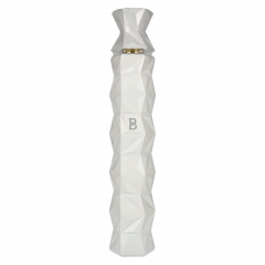 Vodka Belvedere 10 + GB 0,7 l