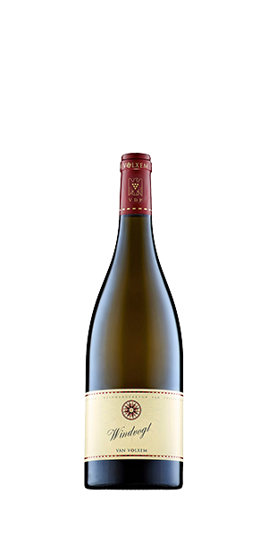 Vino Alte Reben Riesling VDP Gutswein 2021 Van Volxem 0,75 l