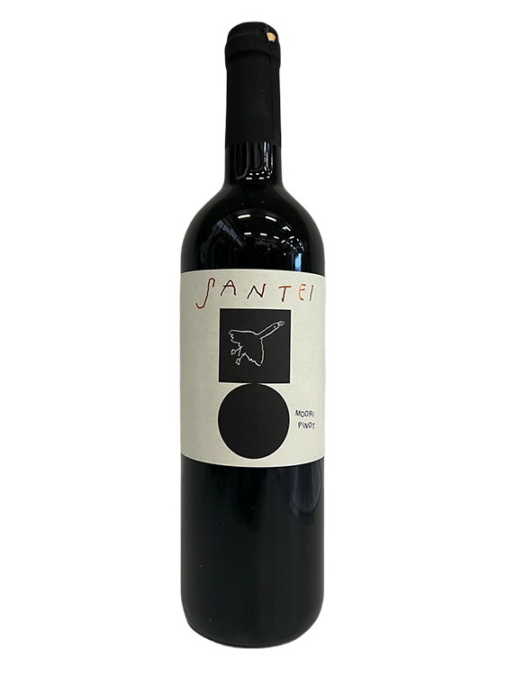 Vino Modri pinot 2019 Santei 0,75 l