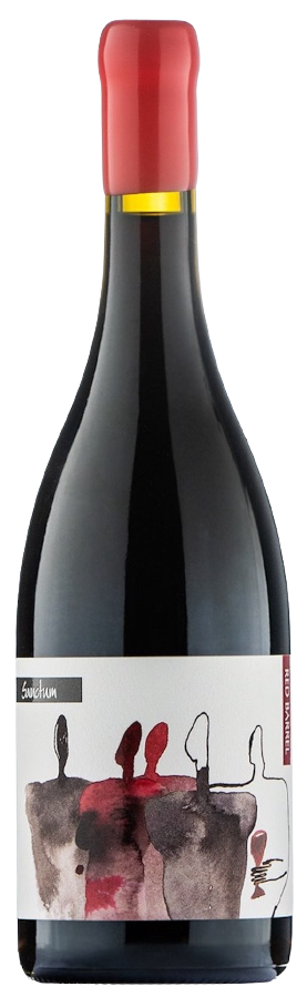 Vino Red Barrel 2021 Sanctum 0,75 l