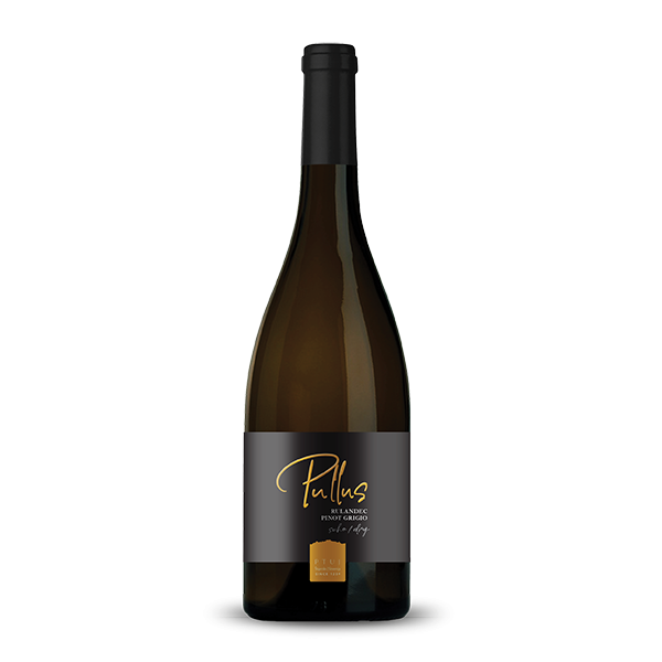 Vino Rulandec Artisan Ptujska Klet 0,75 l